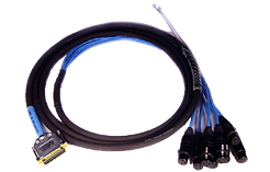 Avid DB25-XLRF DigiSnake 12' Avid DB25-XLRF DigiSnake 12'