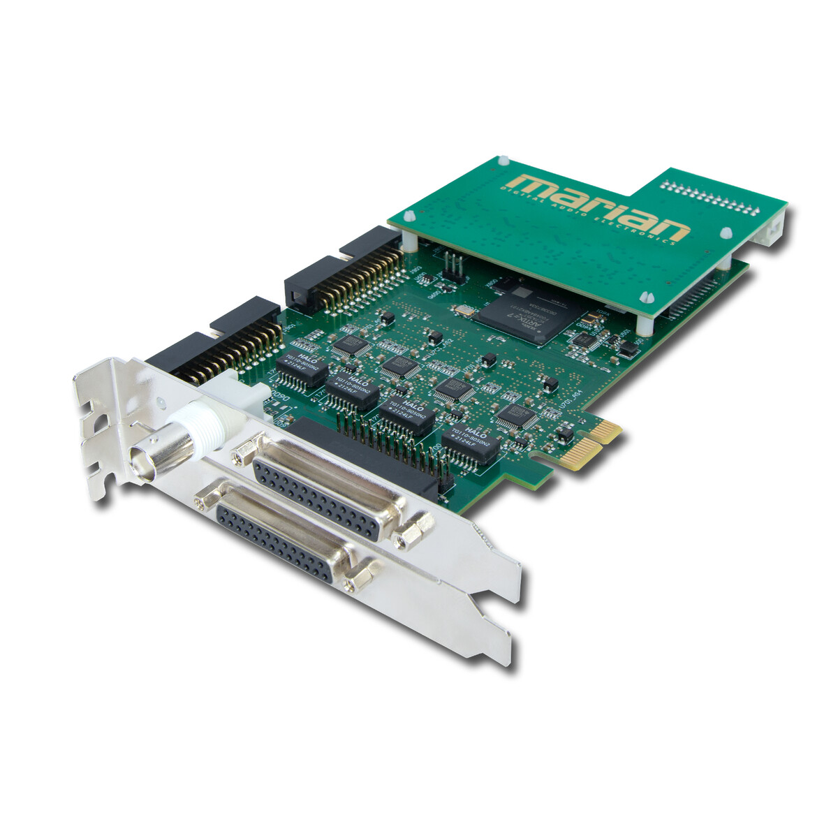 MARIAN Clara Dmaj MARIAN Clara Dmaj